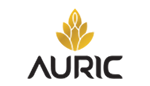 Auric