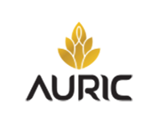 Auric